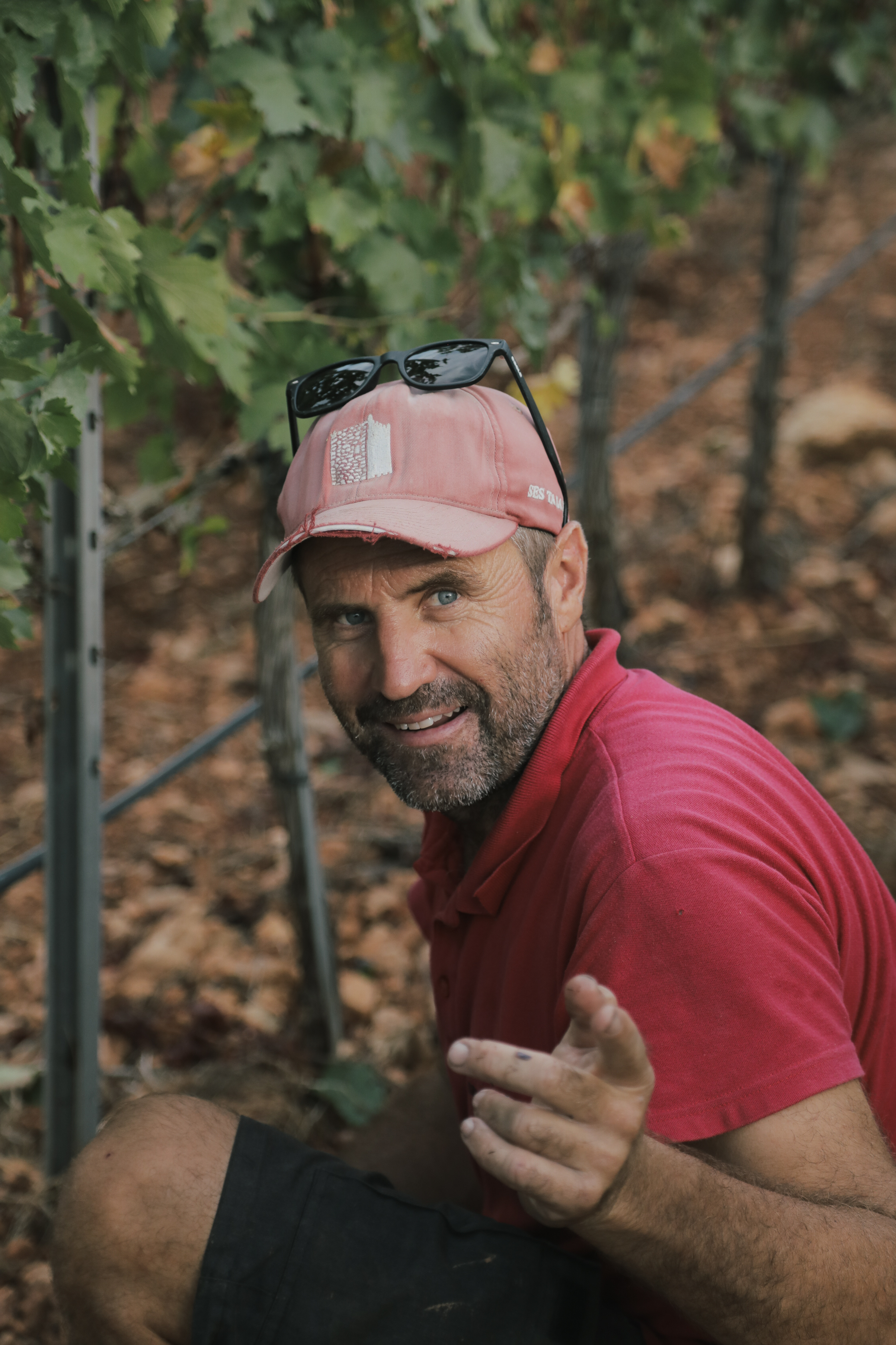 Guillem, the head of the grape production is happy with this years results